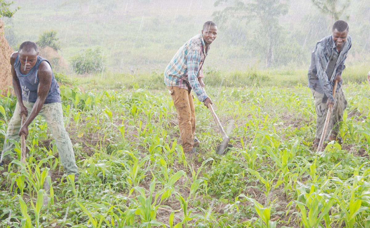 Livelihoods improving through green businesses in Rwamwanja Settlement ...